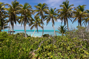 Fototapeta na wymiar Aussicht auf einer einsamen Insel in der Karibik