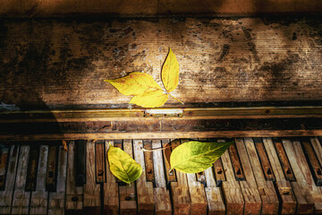 Broken piano keys of old Abandoned piano covered with fallen leaves close-up. Autumn nostalgia