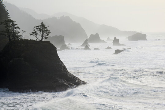 Sea Stacks Along The Oregon Coast