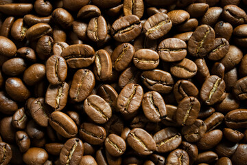 Arabica coffee beans medium roasted