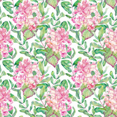 floral watercolor pattern. Hydrangeas on a white  background.