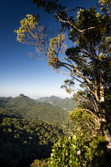 Beautiful landscape of rainforest green mountains in Tijuca Park