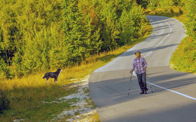 Obraz premium a man and a dog are trying to find a place to rest in the mountains
