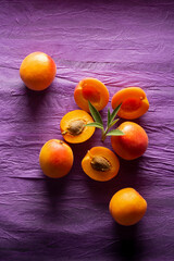 Apricots on lilac background. Prunus armeniaca.