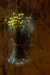 Small chamomile bouquet on old wood. Santolina chameyparissus.