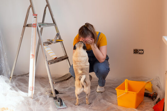 Tired exhausted frustrated stressed woman doing a home renovation with pet pug dog. difficulties and problems panic a young girl