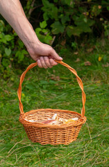 Fototapeta na wymiar A man holds in his hand a wicker basket with mushrooms collected in the forest.