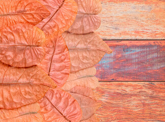 Background with autumn leaves and wood.