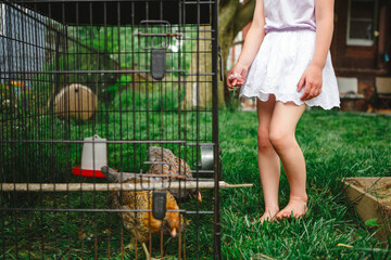 Bottom-half of little girl standing barefoot by cage with chickens