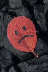 Red autumn leaf with painted sad face on wet grey stone background