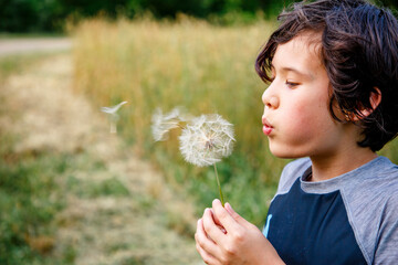 A boy in a grassy field blows giant dandelion seeds into the wind