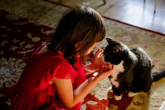 A little girl in a patch of light kneels down to tenderly pet her cat