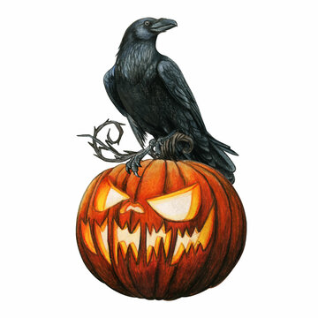 recommend clip art: halloween pumpkin isolated on white