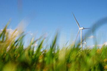 Windmills for renewable electric energy production in Spain.
