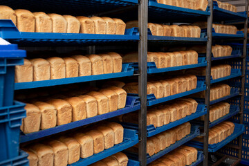 Loaves of bread on blue plastic trays. Close-up. Fresh bread