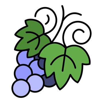 Grapes icon. Outline grapes vector icon color flat isolated on white