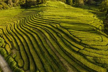 Agricultural fields in hilly valley