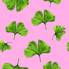 watercolor illustration of ginkgo biloba leaves decorative pattern seamless isolated on pink background