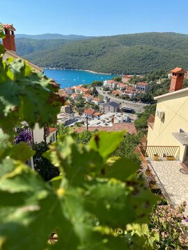 the city rabac behind a leaf