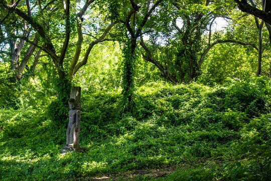 A Lone, Pre-Colombian Idol Remains in the Lush, Green Rainforest on Zapatera Island outside of Granada, Nicaragua
