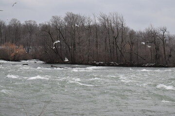 frozen river in winter