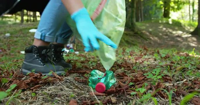 Cleanup volunteers cleaning up the forest