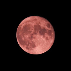 赤い満月　ストロベリームーン
