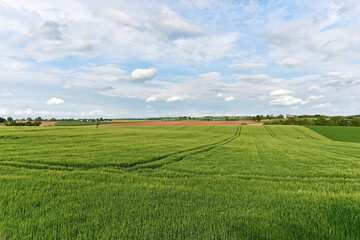 Obraz premium Frankreich - Roumégoux - Felder