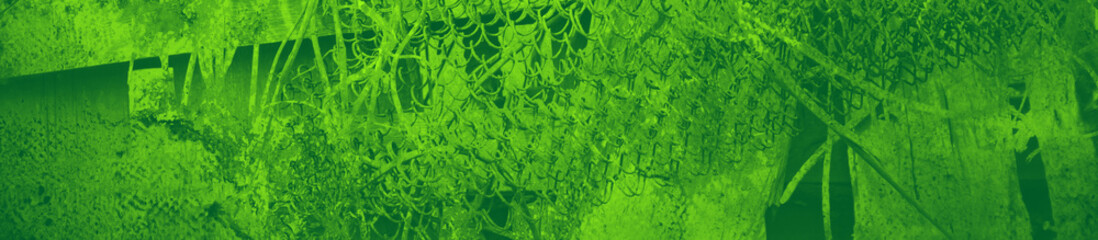 abstract green bright color background for design