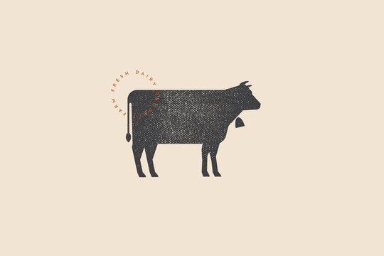 Dark silhouette of a cow on a light background. Logo template for dairy, meat products and farms. Can be used for butcher shop, market, menu design, packaging and labels. Vector illustration.