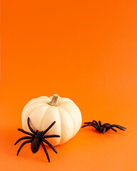 Close up of decoration white small Halloween pumpkin mockup template white frame with wooden borders and black horror spiders on orange blurred background with copy space. Holiday autumn concept .