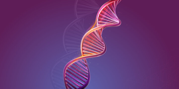 DNA Double Helix Structure On A Purple Background.