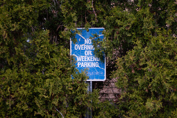 no parking sign in leaves