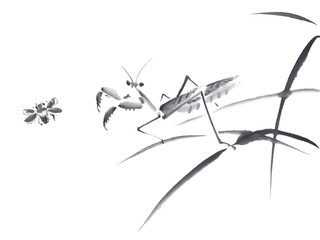 虫を狙うカマキリ　墨絵イラスト