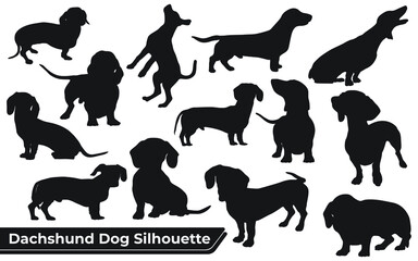 Collection of animal Dachshund Dog in different positions