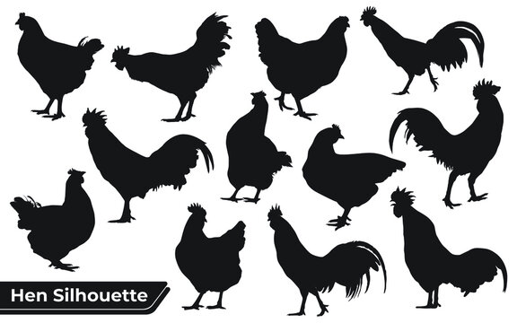Collection of Chicken or Hen silhouettes in different poses