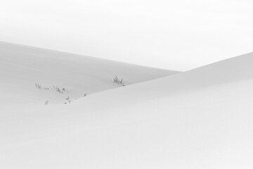 한국 평창의 겨울