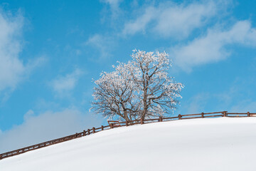 한국 평창의 겨울