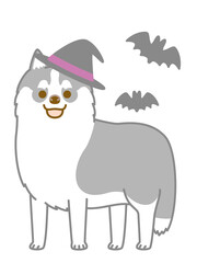 ハロウィンのシベリアンハスキー