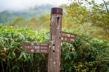 秋の紅葉が始まった長野県北安曇郡小谷村の栂池自然園の展望台までトレッキングしている風景 A view of trekking to the observatory of Tsugaike Nature Park in Otari Village, Kita-Azumi-gun, Nagano Prefecture, where the autumn leaves have begun to cha