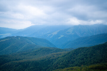 Fototapeta premium 秋の紅葉が始まった栂池自然園の展望台までトレッキングしている風景 A view of trekking to the observatory of Tsugaike Nature Park, where the autumn leaves have started to change color. 