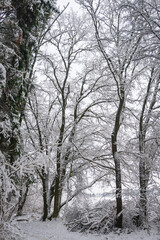 A city park in Minsk at winter time, Belarus.