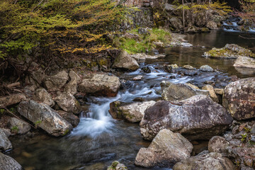 A stream of water in Minoo Park, Osaka in spring