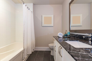 Fototapeta na wymiar Clean Modern Washroom with Shower Curtain, Tub, Marble Vanity and Mirror