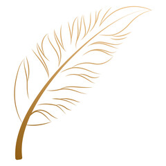 Isolated golden sketch of a feather