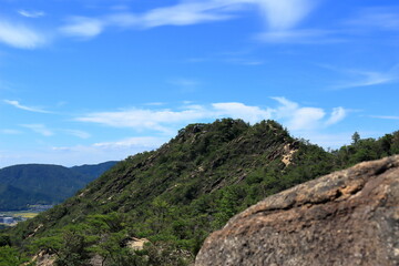 堂山山頂付近の風景