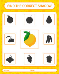 Find the correct shadows game with eggfruit. worksheet for preschool kids, kids activity sheet