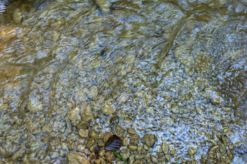 Mountain rivers originating high in the mountains, a journey through the canyon of the river on a sunny summer day, under the canopy of the forest, not well-traveled tourist routes.