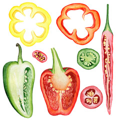 Cut pepper slice watercolor food illustration. Harvest clipart set. Isolated clipart element on white background
