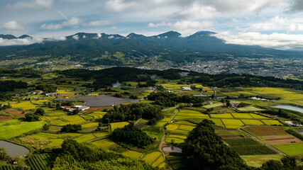 Rural areas with paddy fields and cities at the foot of the mountains